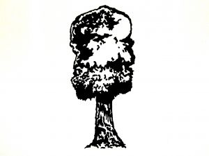 Chapter 2 Tree Bomb