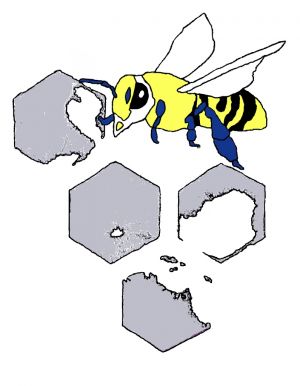 CCD