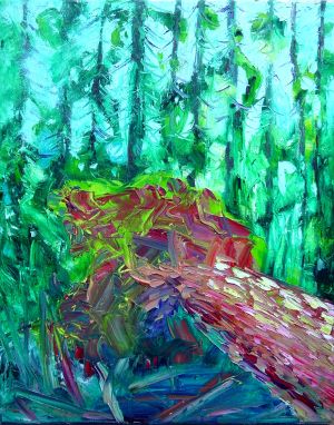 Downed Tree Stanley Park