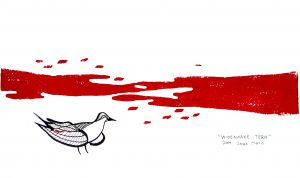 Wide Awake Tern