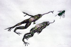 Frogs And Blue Bottle - Jesse Morris