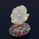 Agent Based Modelling by Jesse Morris. iScience Cover Image